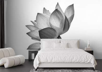 Lotus flower isolated on white background. Wall mural