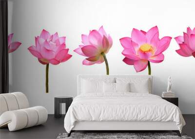 lotus flower Wall mural