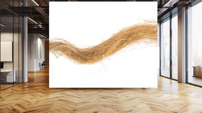 flax fiber Wall mural