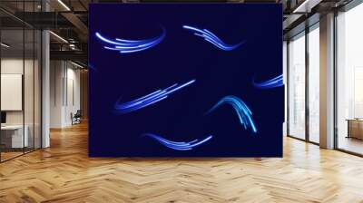 Expressway in long delay, with car lights at night on autobahn. Vector glitter light fire flare trace. Lines in the shape of a comet against a dark background. Illustration of high speed concept.  Wall mural