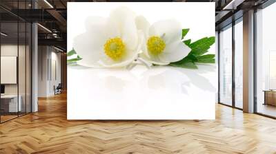 Two white flowers. Wall mural