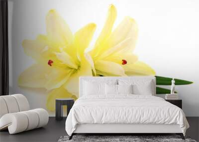 Two yellow lilies. Wall mural