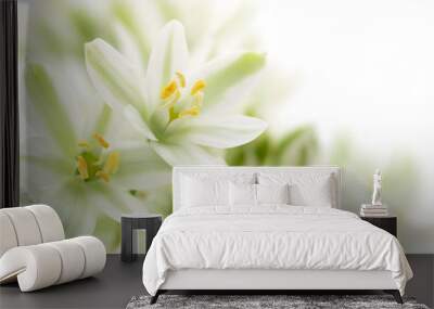 white flowers background Wall mural