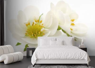 White flowers Wall mural