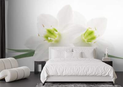 White flowers Wall mural