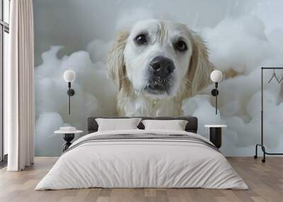 Cute white dog with wet fur immersed in a bubbly bath, looking at the camera Wall mural