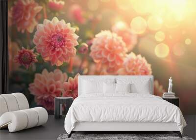 Warm sunset light baths beautiful dahlia flowers in a peaceful garden Wall mural