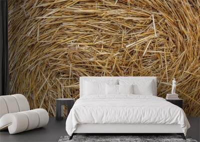  Straw texture of a harvested wheat field Wall mural