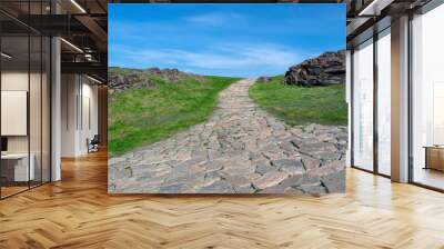 A road made of natural stone leading to the top of the mountain. Summer landscape. Wall mural