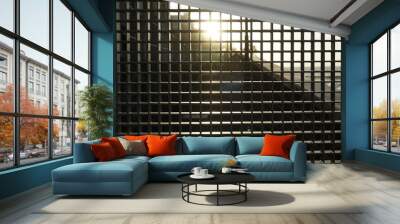 Background. Texture. Metal lattice and the setting sun.   straight line geometry  Wall mural