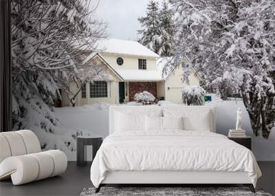 Residential home.  Average american two story residential home covered with snow during winter storm. Wall mural