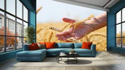 Golden ears of wheat in hand Wall mural