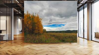 Sunset at the forest edge. Autumn landscape. Wall mural