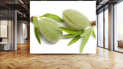 Two young almond nuts on a white background isolated Wall mural