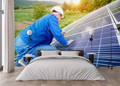 Construction worker connects photo voltaic panel to solar system using screwdriver. Professional installing and construction of solar system, alternative energy and financial investment concept. Wall mural