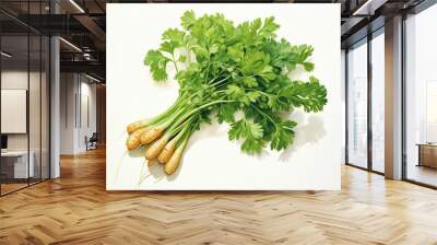 Herbs parsley dill Ginkgo Biloba salad fresh vegetable Medicine vitamins health Wall mural