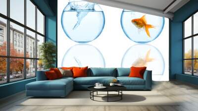 goldfish leaping in aquarium on white background Wall mural