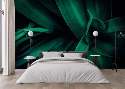 Beautiful Green leaves pattern background and wallpaper. Wall mural