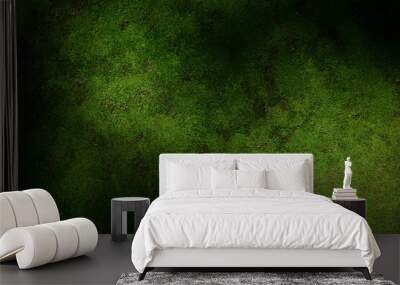 Beautiful green moss on the floor wallpaper background. Wall mural