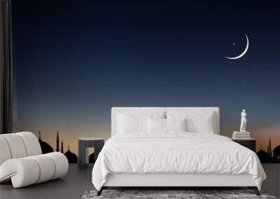 Islamic background,Ramadan Kareem design with Silhouette Dome Mosques,Crescent Moon on Sunset Sky,Vetor Ramadhan Night with twilight dusk sky for Islamic religion,Eid al-Adha,Eid Mubarak,Eid al fitr Wall mural