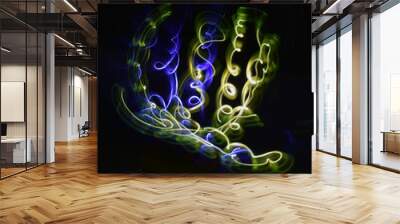 abstract light painting, long exposure, blurry drawings with light Wall mural