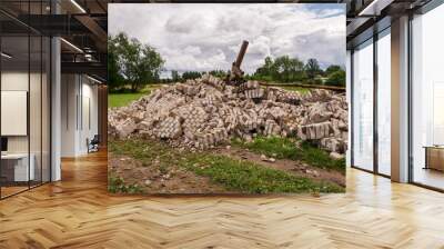 landscape with an overturned old water tower, fragments of white brick ruins on a background of green grass, Latvia, Vaidava Wall mural