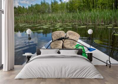 view from the paddle board to the summery green river bank Wall mural