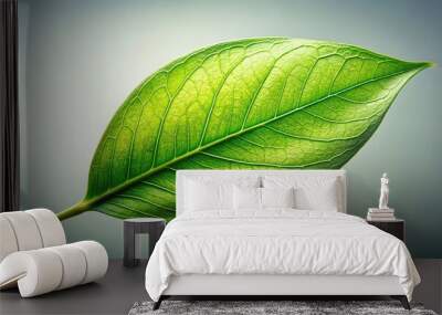 Leaf with green stem and leaf Wall mural