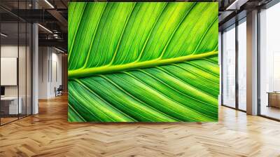 Macro closeup of vibrant green tropical leaf background Wall mural