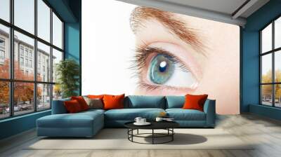 Human, blue healthy eye macro with white background Wall mural