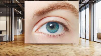 Human, blue healthy eye macro Wall mural