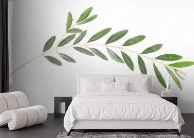 Olive branch on white, clipping path included Wall mural