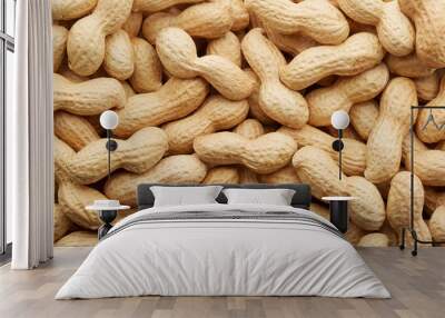 peanuts in shell texture background Wall mural