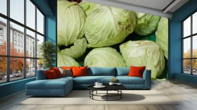 Cabbages display on sale in the traditional market. Vegetables markets. Cabbage background. Fresh cabbage from farm field. Close up macro view of green cabbages. Vegetarian food concept. Wall mural