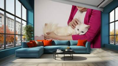 white cats are spoiled in the lap of their owners like babies. Wall mural