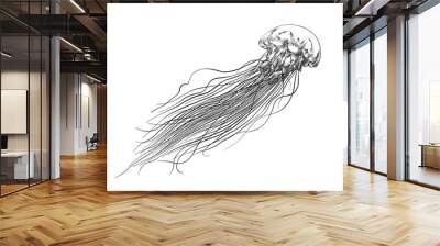 Hand drawn sketch of jellyfish in black isolated on white background. Detailed vintage style drawing. Vector illustration Wall mural