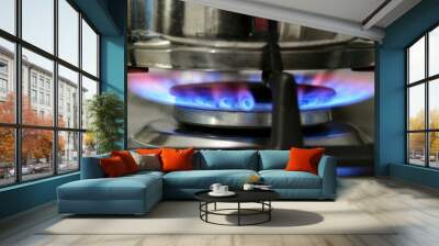 Gas cooking. The blue flames of the gas heat the food in the container. Wall mural