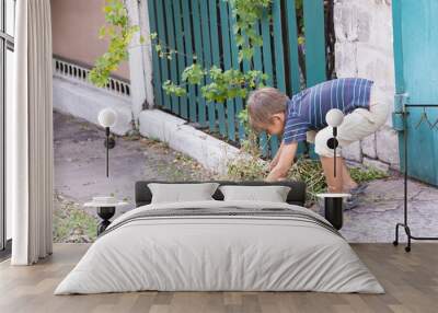 The boy collects the hay and puts it in the garbage. Wall mural