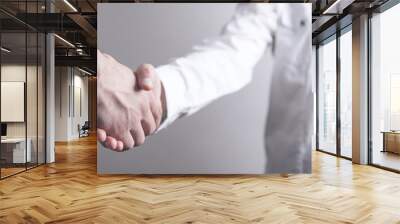 Business people shaking hands. Business partnership. Deal concept Wall mural