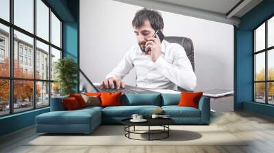 Young businessman talking by mobile phone and using laptop. Wall mural