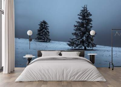 Two snow covered conifers Wall mural