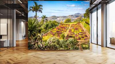 botanical garden in funchal, monte, madeira, jardim botanico madeira, garden, tropical flowers, view, ocean, Wall mural