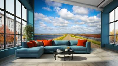 nationalpark oosterschelde in zeeland / netherlands Wall mural