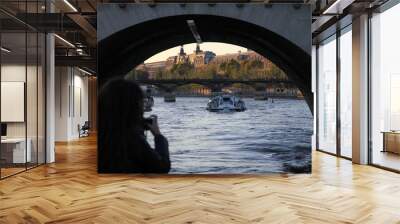 boat under a bridge on the Seine in Paris Wall mural