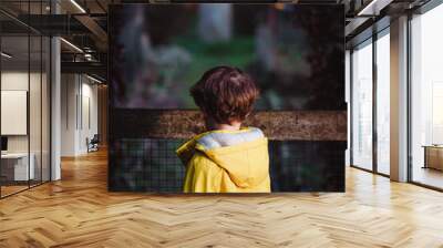 Boy in yellow looking over a garden gate Wall mural