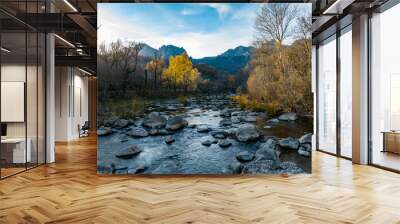 Fantastic stream in a lovely autumn mountain landscape 4 Wall mural