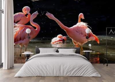 Flamingos Wall mural