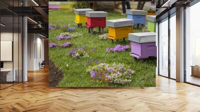 horizontal image of many houses for bees of various colors in a public garden Wall mural