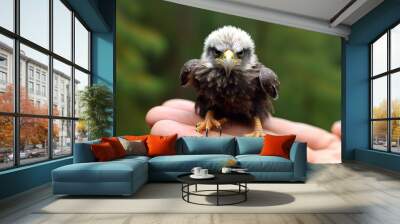 Bald eagle tiny smallest animal in the world standing on human hand illustration generative ai Wall mural