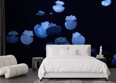 blue blubber jelly fish underwater Wall mural